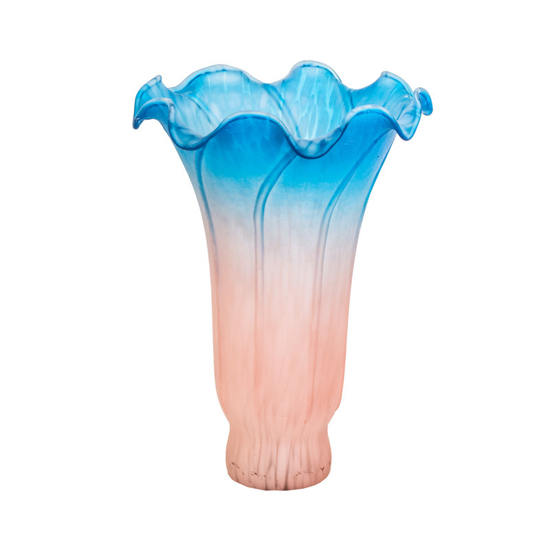 Novelty Lamp Shade