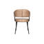 Brisben Leather Arm Chair