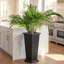 Grand pot de fleurs en plastique 2 paires de grandes jardinières d'intérieur et d'extérieur pour porche et patio (4 pièces)-218548913