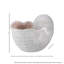 Coquille de Nautilus Anjae «Fabric Weave»