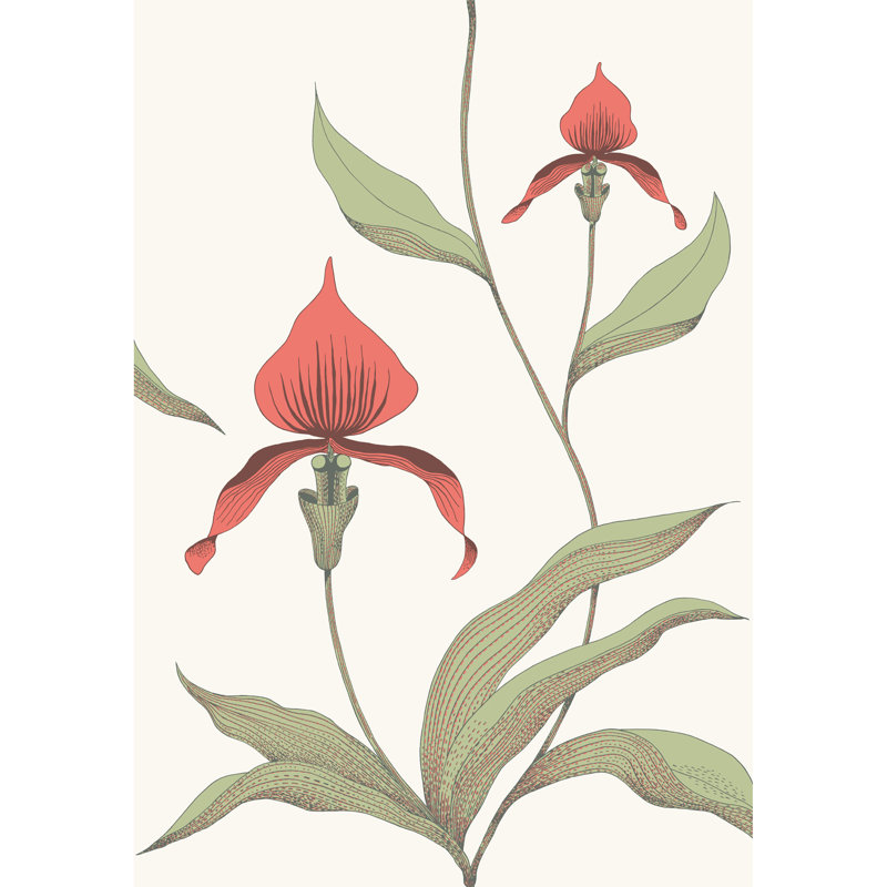 Orchid Floral Wallpaper Roll, Red/Green