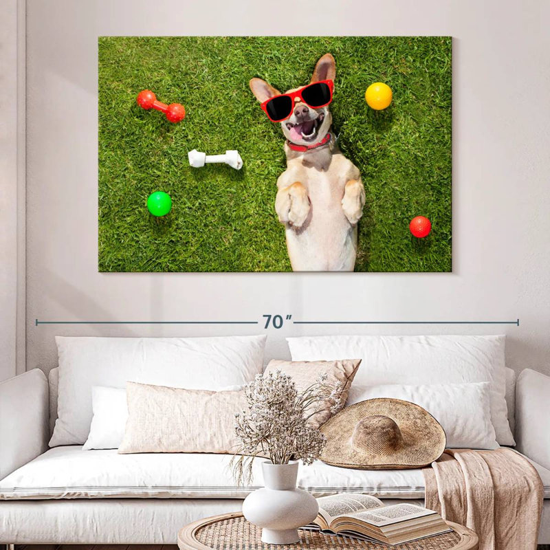 Ketti terrier chihuahua amusant, H 34 po x l 51 po