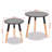 Nylah Glass Nesting Tables-671288683