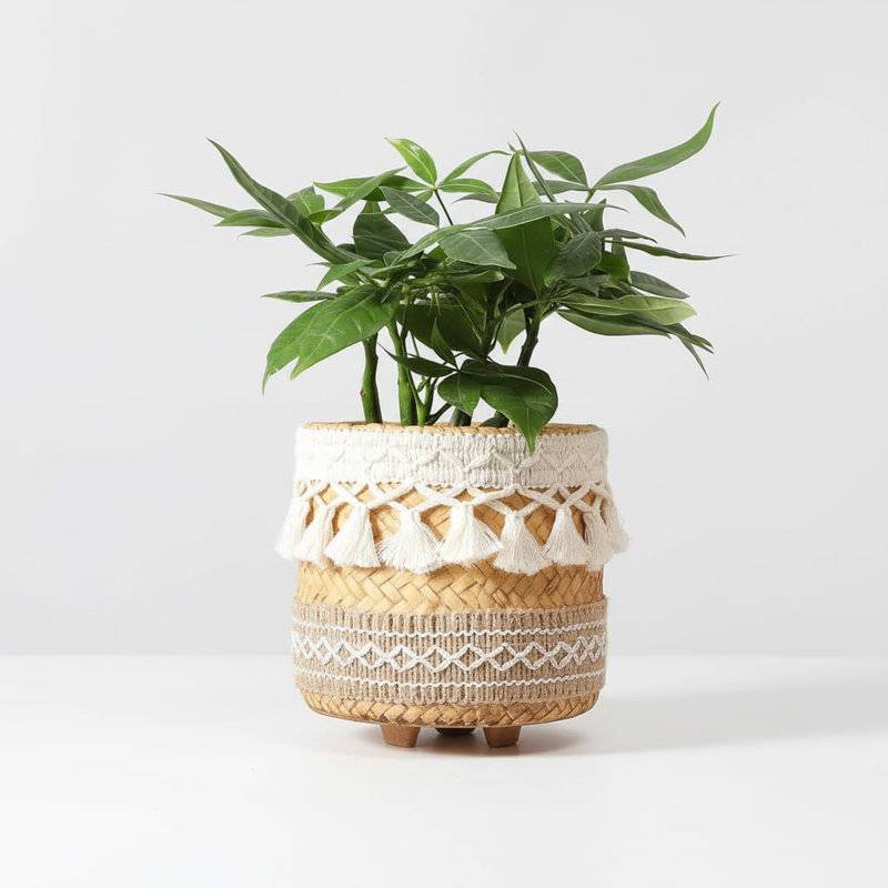 Concrete Rattan-Style Plant Basket Planter (5.3") - Boho Indoor/Outdoor Pot with Drainage, for Succulents/Herbs, Farmhouse Decor, Plant Lover Gift