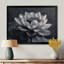 Lotus gris photo élégante silhouette III - salon d'art mural Lotus-1578433934-1578433943
