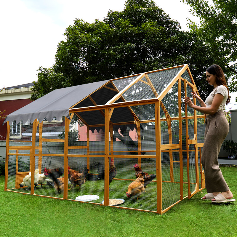 Grandes enclos extérieurs pour poulets pour chatons, 110 po avec accès au sol, caractéristiques, toit imperméable amovible, parc pour chaton de 56,54 pi, fil galvanisé, deux petites portes, couvercle, activité