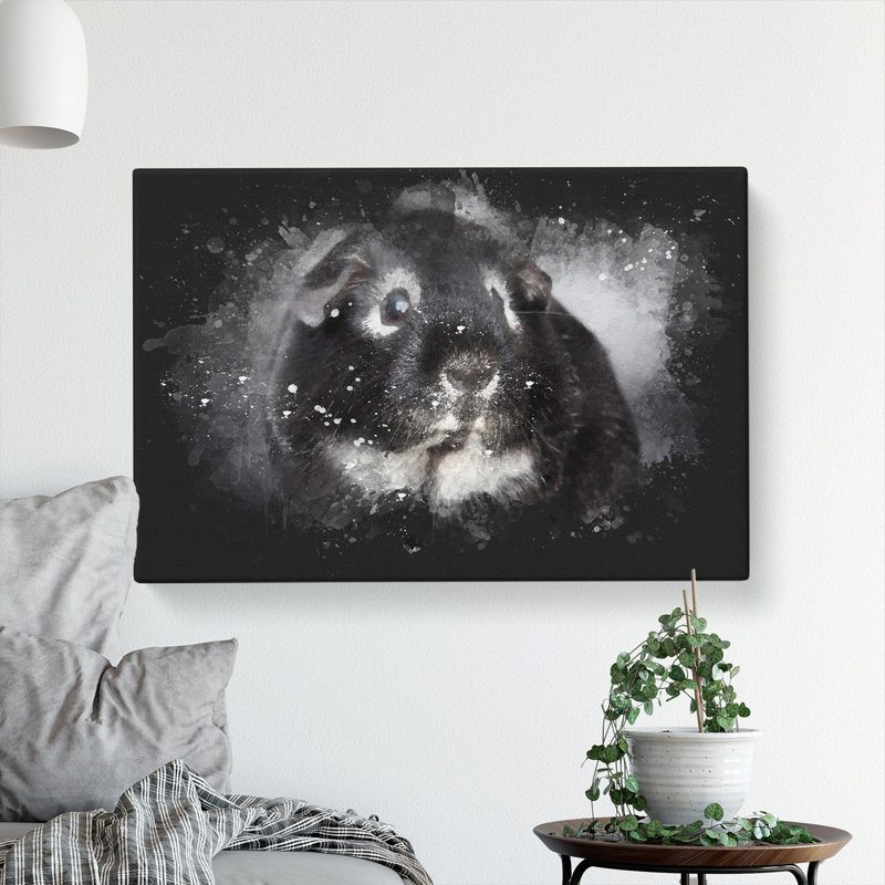 Guinea Pig - Wrapped Canvas, 50cm H x 76cm W x 3cm D