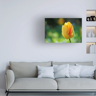 Bolog Suzanne Bonin In The Foreground Canvas Art