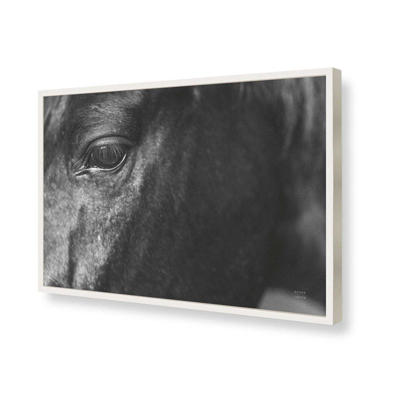 «Still» par Nathan Larson, reproduction d'art, H 12 po x l 18 po, Blanc