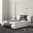 Hejran Artificial Leather Upholstered Platform Bed, No Box Spring Needed-92662558-92662552