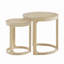 Ensemble de tables basses 24 "2PCS-800968350