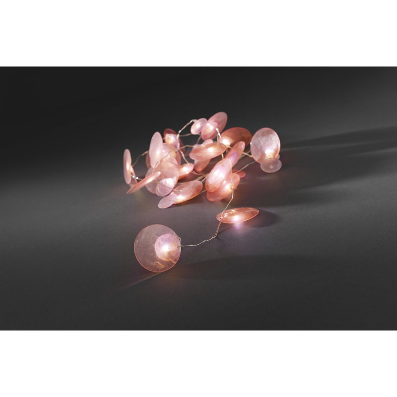 Neven 172cm LED Battery Powered 20 - Bulb Novelty String Light