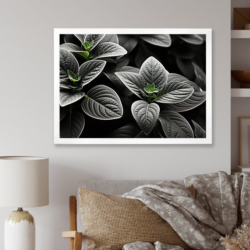 Plantes grises, sérénité botanique sur toile, H 24 po x l 32 po x P 1 po, Cadre photo blanc