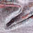 Oriental Indoor Rug-139387369