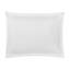 Eloise 100% Cotton Quilted Sham-439612075-439612073