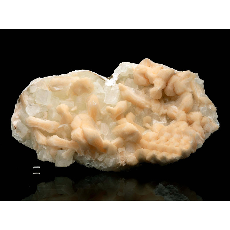Stilbite sur apophyllite