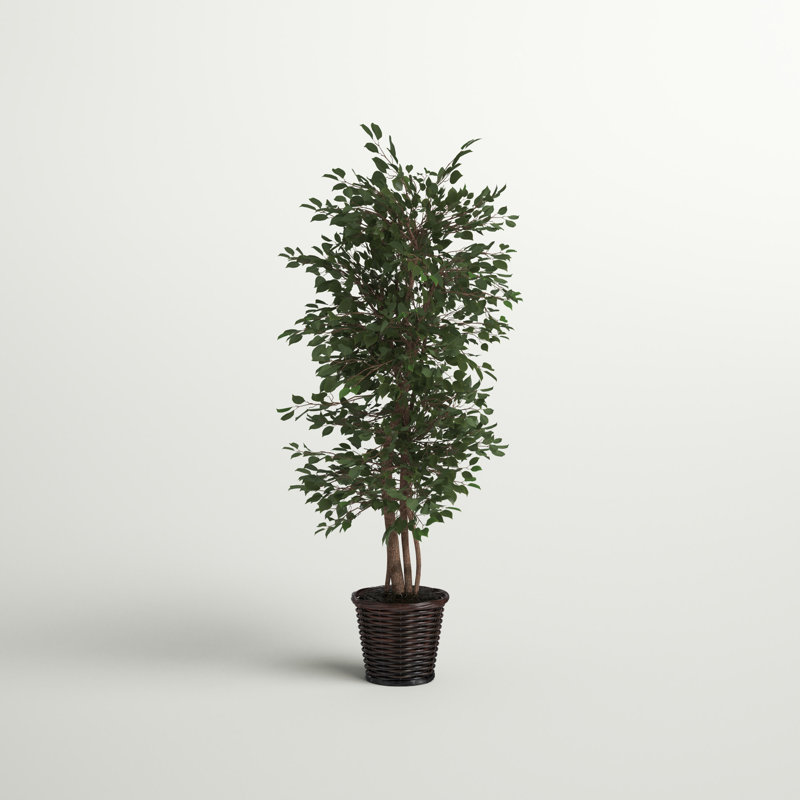 72'' Faux Tree in Wicker/Rattan Basket