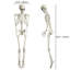 Plastic Freestanding Halloween Decoration