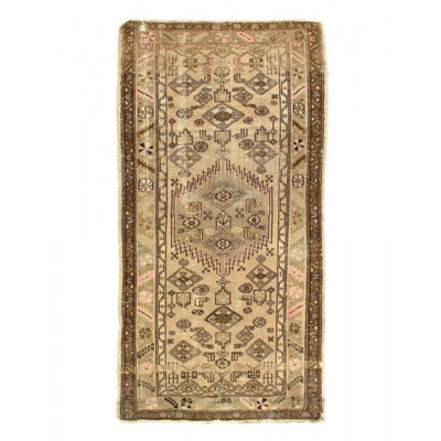 Hartwald Oriental Area Rug