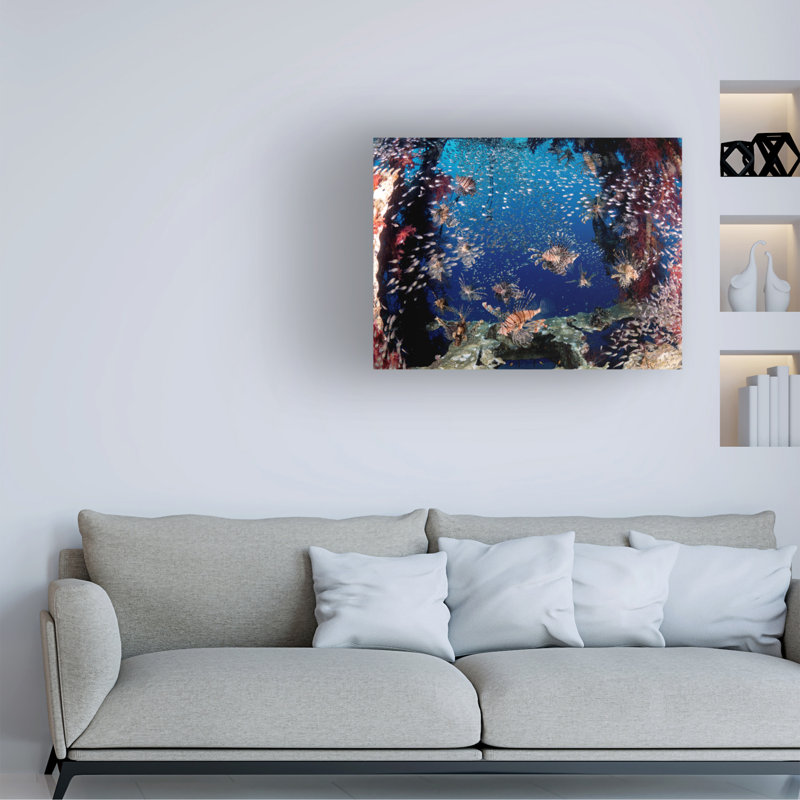 Art sur toile Ilan Ben Tov, H 14 po x l 19 po