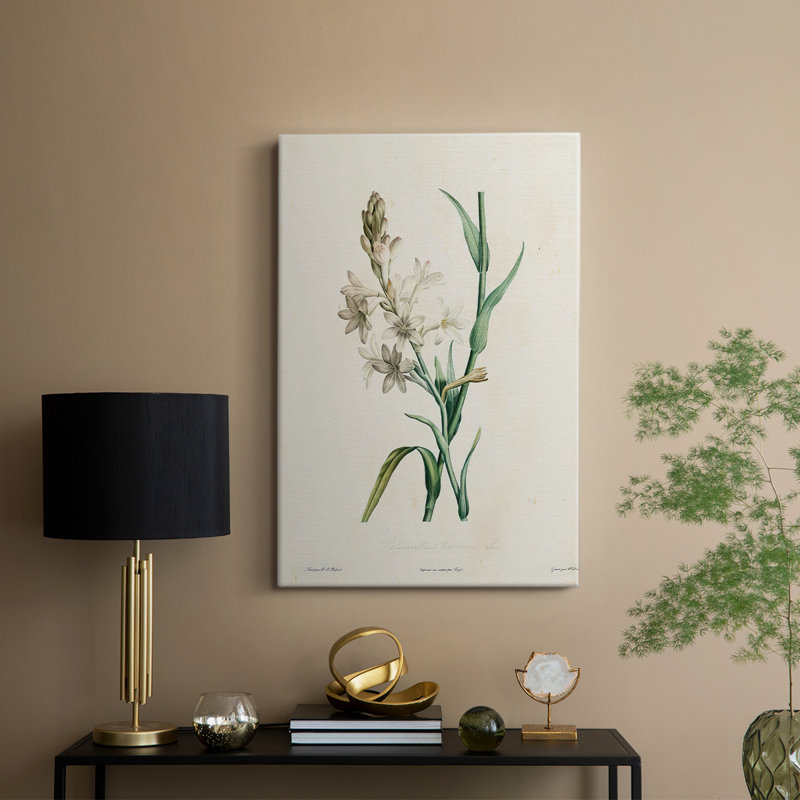 Traditional Botanical IV - Gallery Cavas, H 18 po x l 12 po