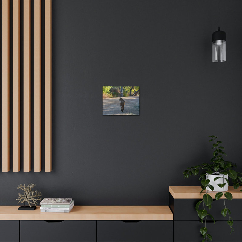 No Frame Print on Canvas, 30.48cm H x 45.72cm W