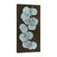 "Eucalyptus", toile tendue par Albert Koetsier-2124797740