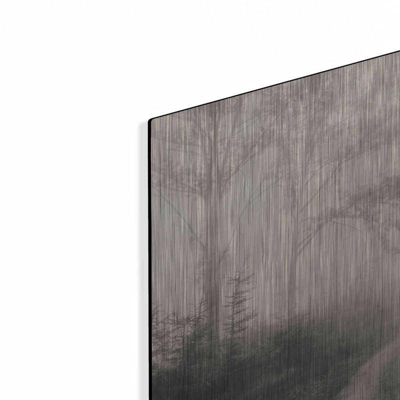 «Bleached Wood Land» par Lori Deiter, H 16 po x l 24 po