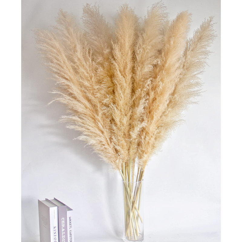 Pampa Arrangement