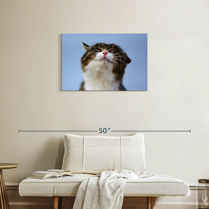 Chat rafraîchi, H 20 po x l 30 po