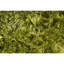 Celecot White Area Rug-1082020151-1180810068