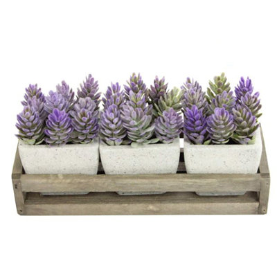 5'' Faux Flowering Succulent in Pot