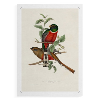 ElegantTrogonsI - Impression sur toile seulement - NON-CADRE