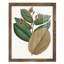 Fall Foliage III, reproduction d'art encadrée-90582658-90582654
