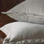 Tissu Jackson-39528695