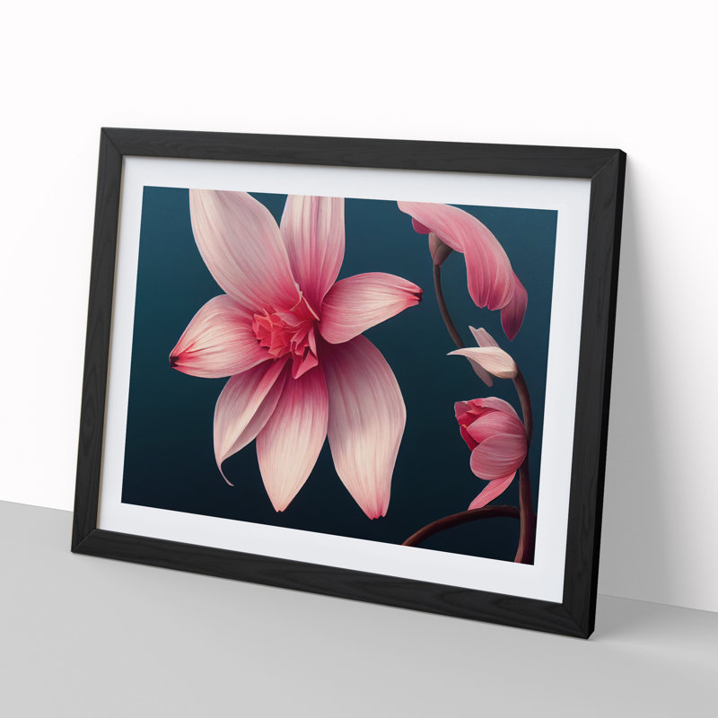 Stunning Flower - Single Picture Frame Print, Black, 34cm H x 46cm W x 2cm D