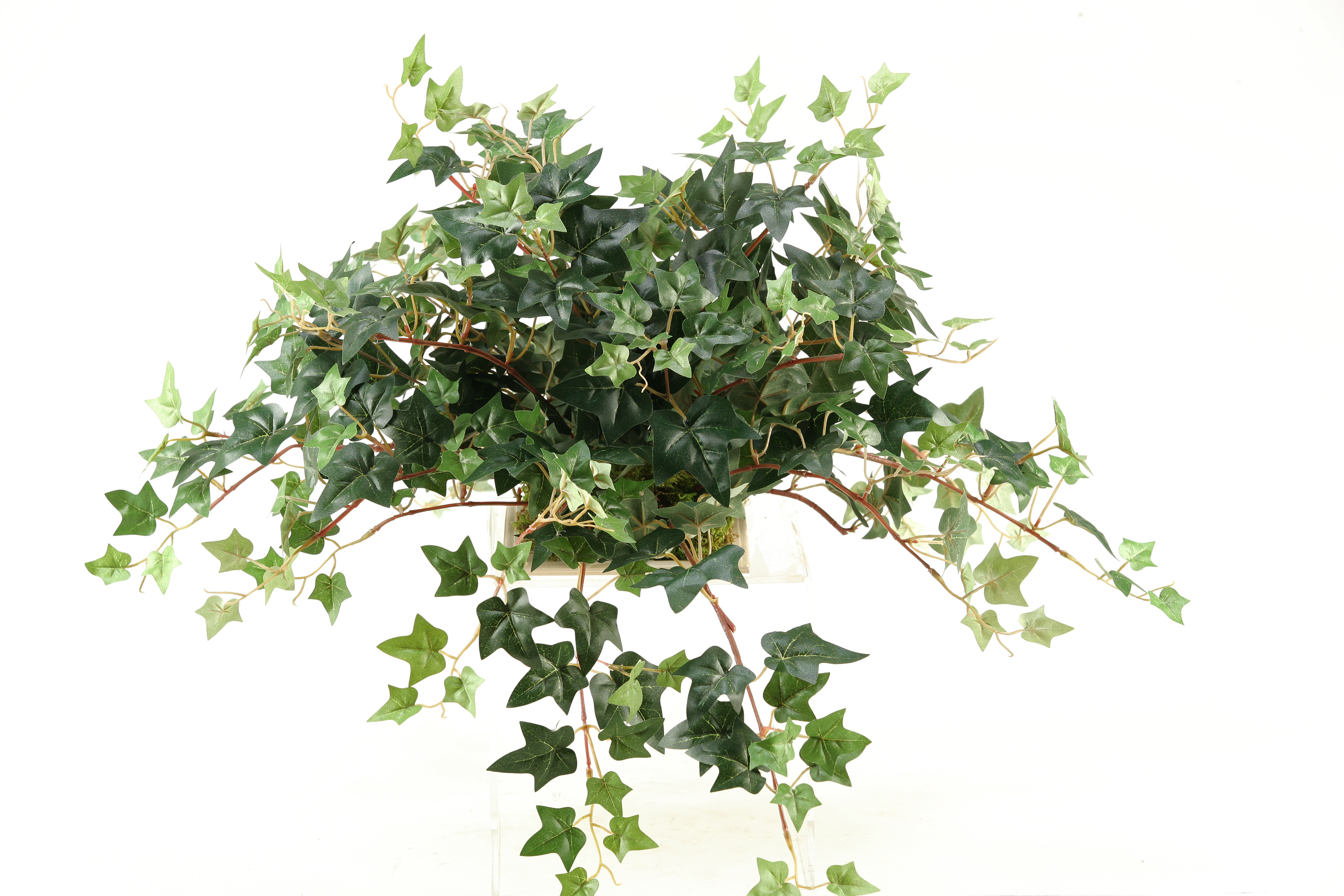 D & W Silks 14'' Ivy Plant Wayfair