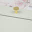 Polished Brass Disc Knobs-128905920