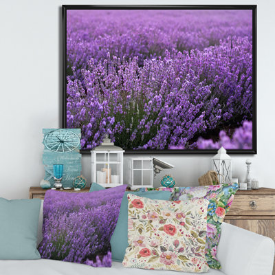 Blooming Mauve champ de lavande - reproduction de cadre flottant sur toile