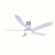 Lileah 5 - Blade LED Standard Ceiling Fan with Remote Control and Light Kit Included