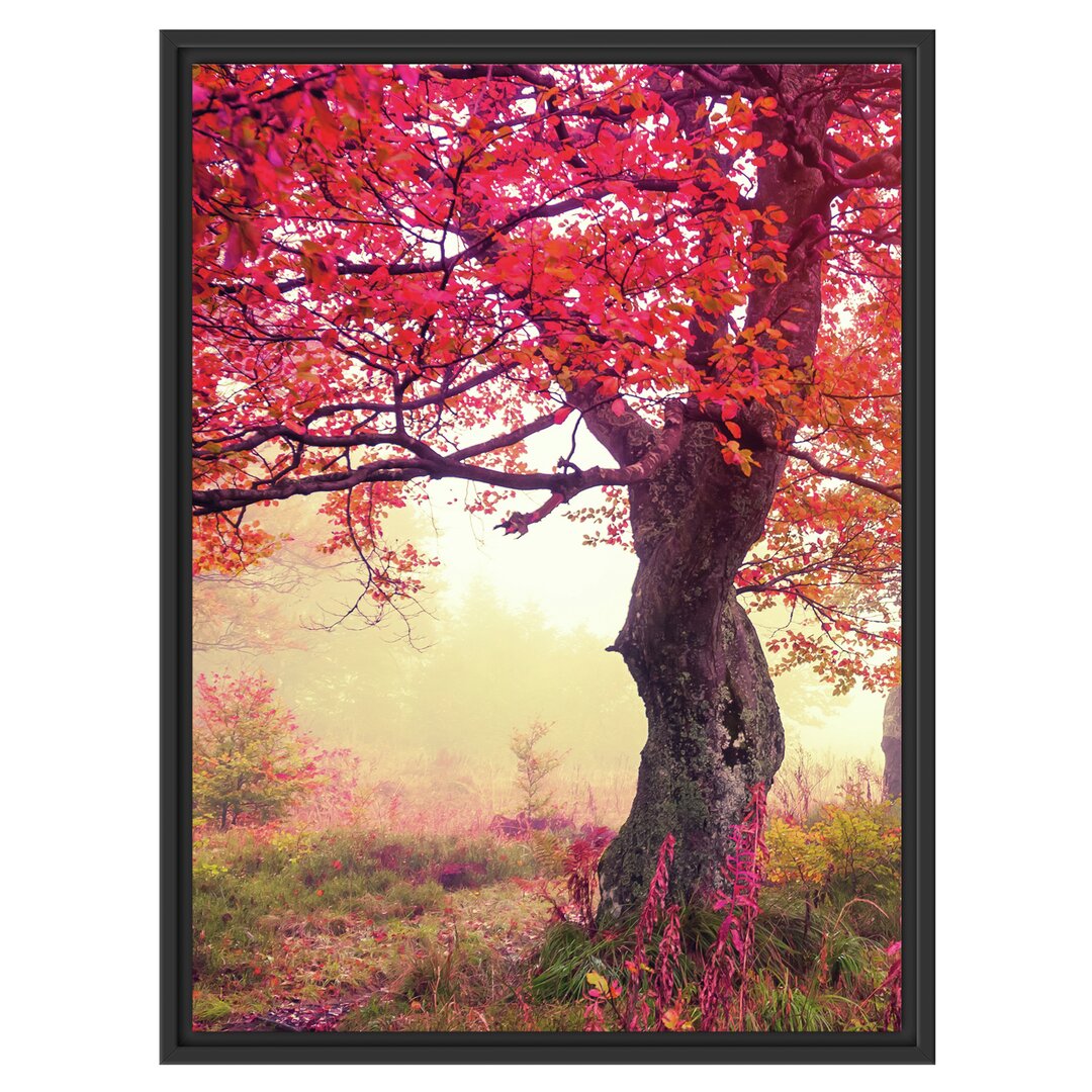 Gerahmtes Wandbild Traumhafte Herbstlandschaft