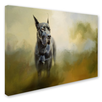Vidur 'Wistful Dane' Graphic Art Print on Wrapped Canvas