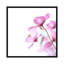 Clematis rose, impression sur toile-72120240-72120245-32497829