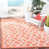 Terre cuite/beige