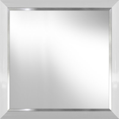 Rayfield Plastic Flat Leaning Mirror