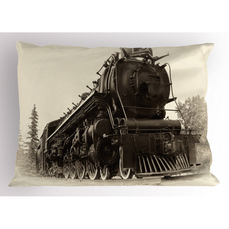 Steam Polyester Sham Set, Twin