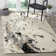 Jefferson Hand Tufted Wool Rug