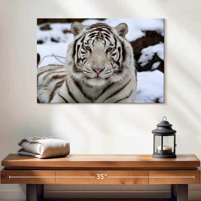 Brampt Glorious White Tiger, 16" H x 24" W