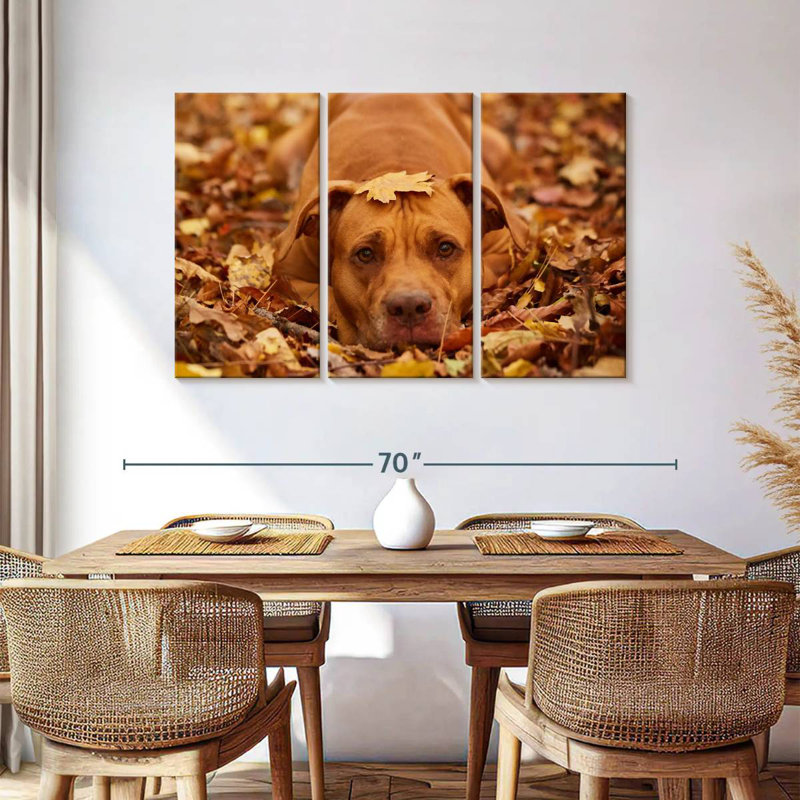 Mignon Pitbull d'automne, H 36 po x l 57 po
