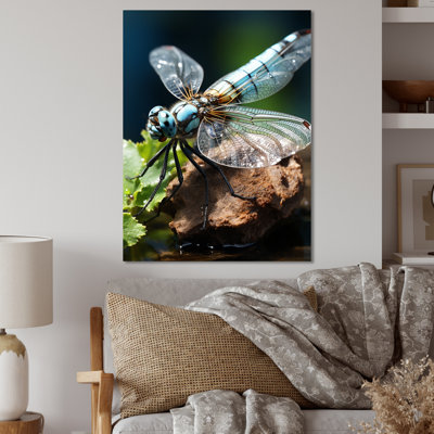 " White Dragonfly Insects Flight "